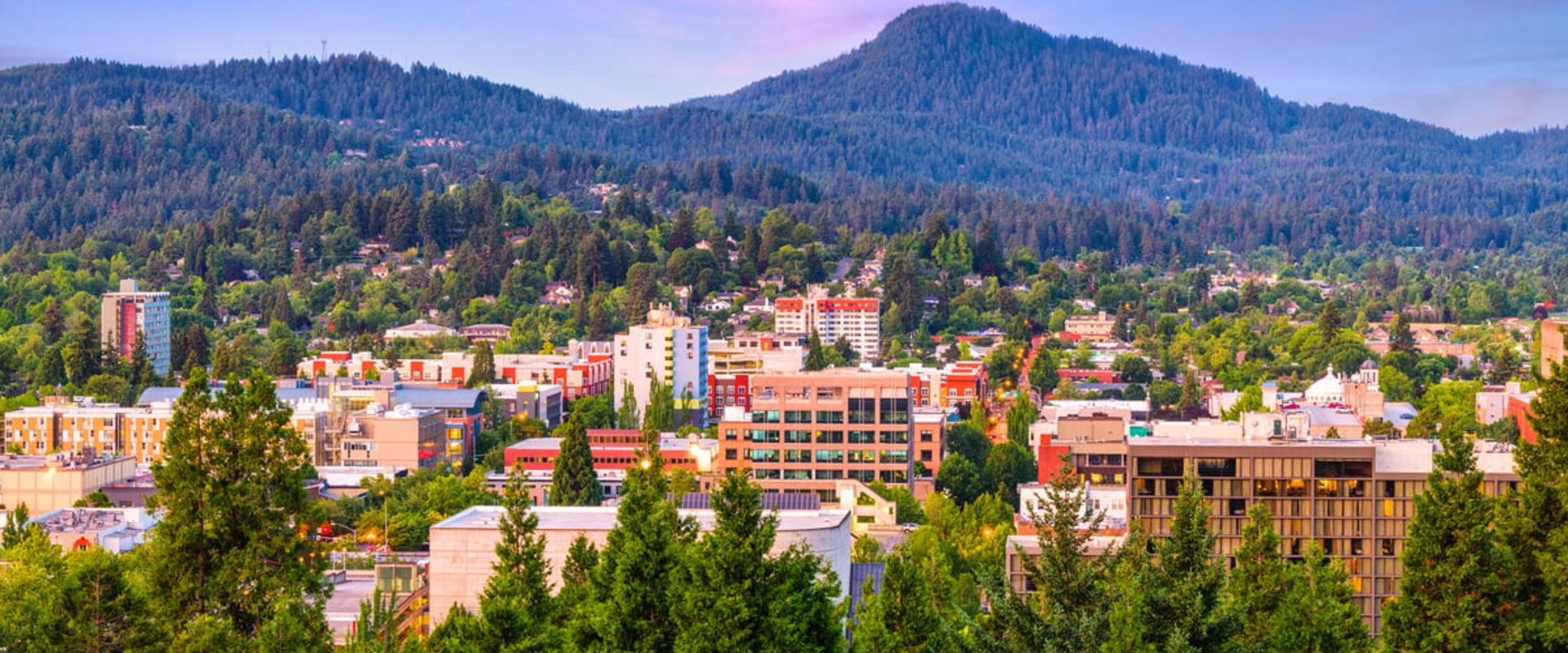 Empowering Citizens: Promoting Civic Engagement in Lane County, Oregon