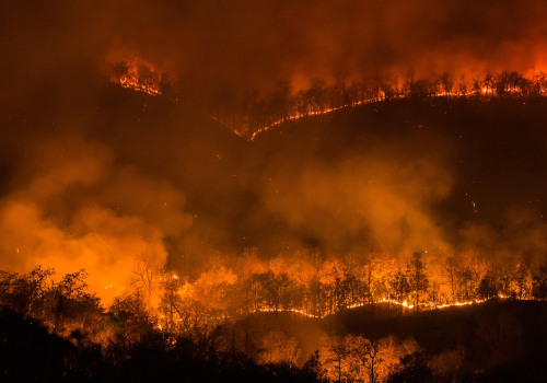 The Lane County, Oregon Public Affairs Department: Leading the Way in Emergency Preparedness and Response